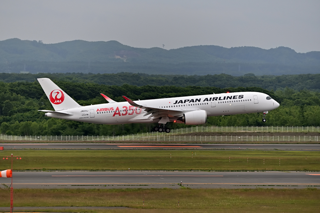 JAL A350 初来道②