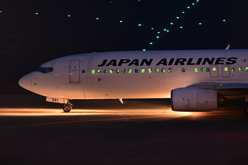 光の道を・・・