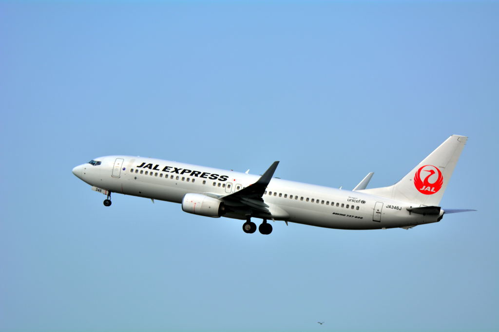 20160528_JL_B737_CTS 004