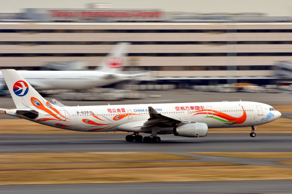 A330　20150116_HND 910