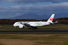 JAL A350 3号機　＠CTS　(^^♪