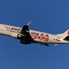 ありがとうラグビー日本代表