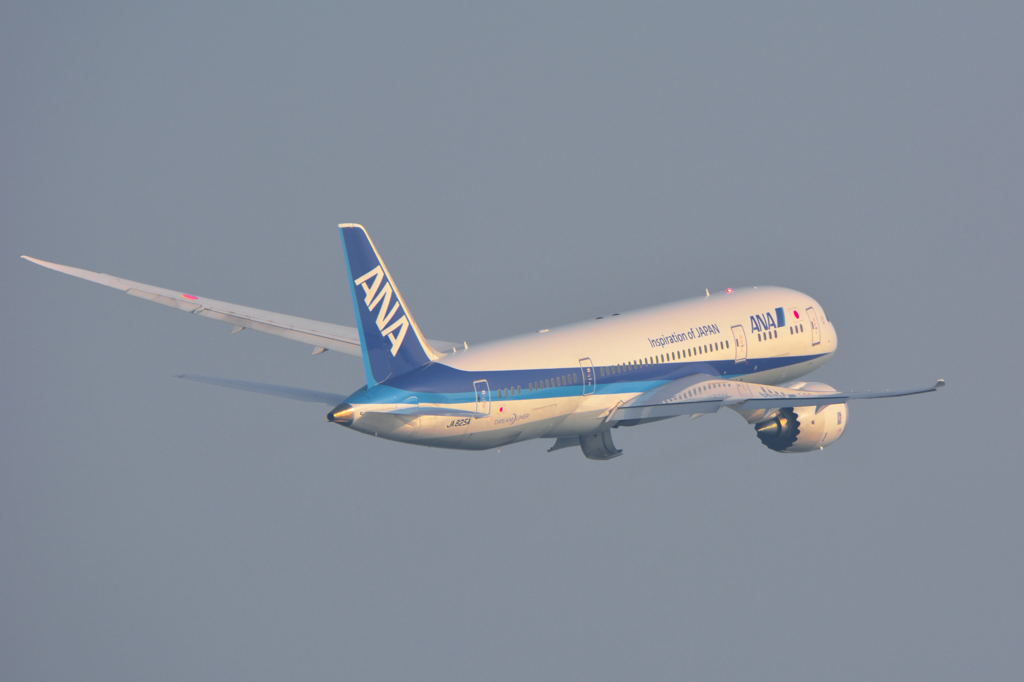 20150322_HND_charley1 319