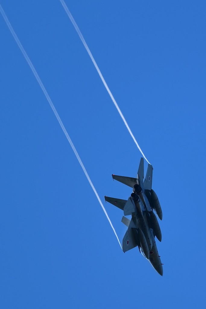 イーグル機動飛行(^▽^)/
