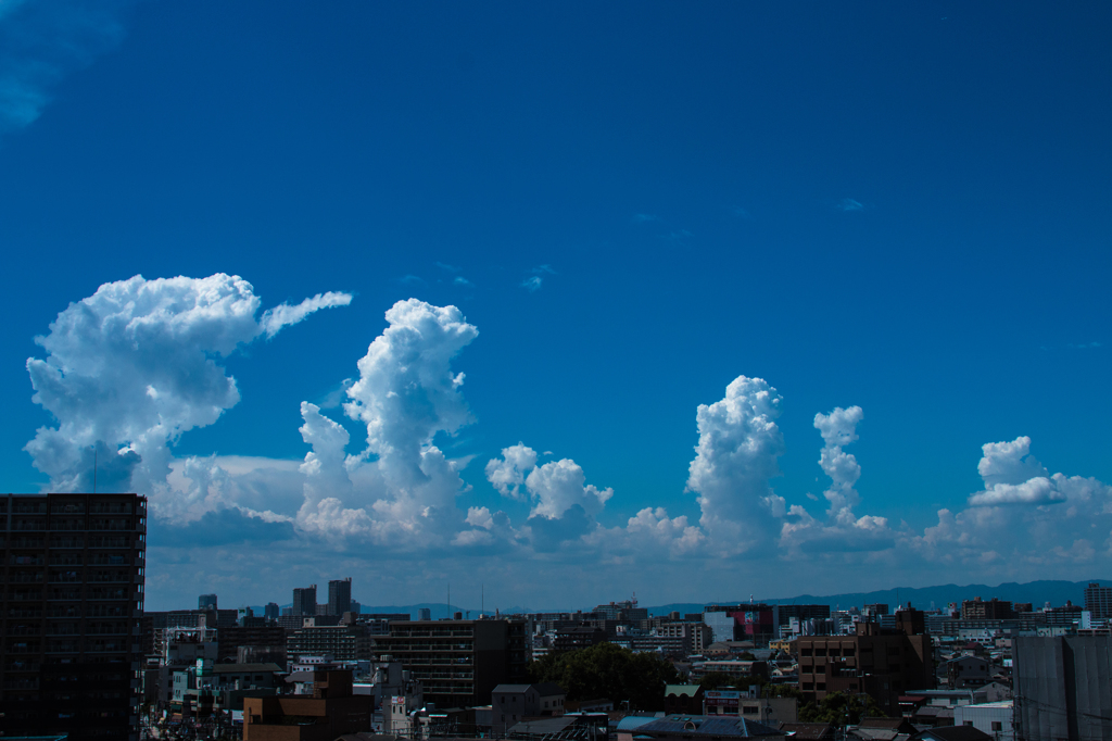 夏雲