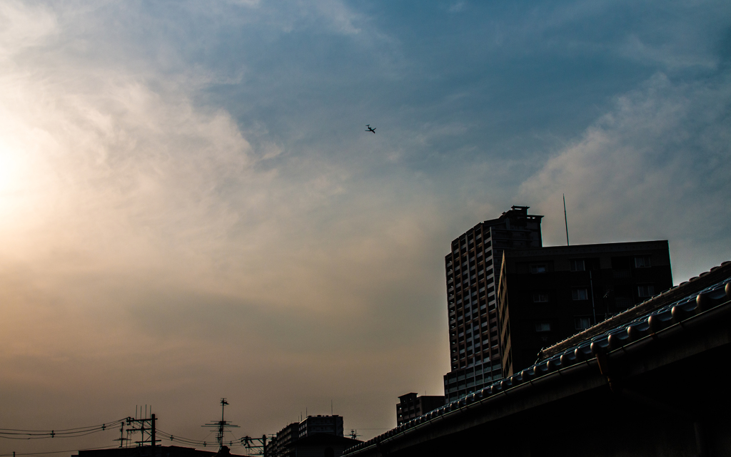 春光
