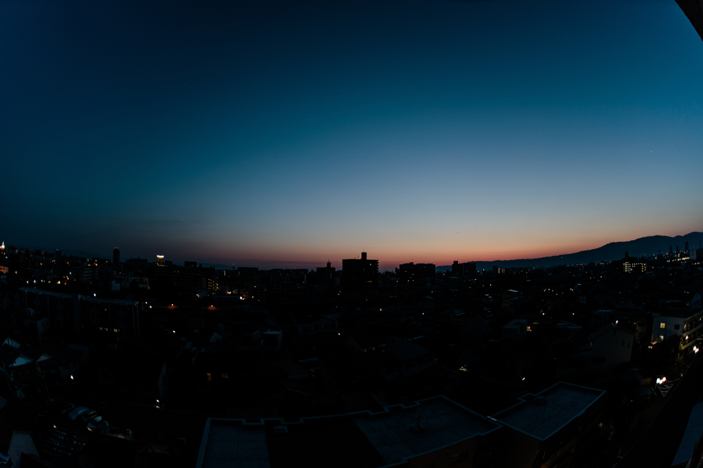 Fish Eyes Dawn