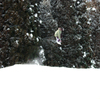 straight air