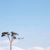 PASTEL SNOW SKY