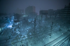 碑文谷田向公園雪景色