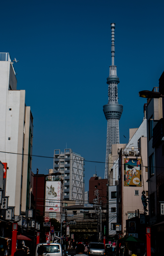 SKY TREE