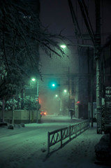 降りしきる東京の雪
