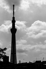 TOKYO SKYTREE