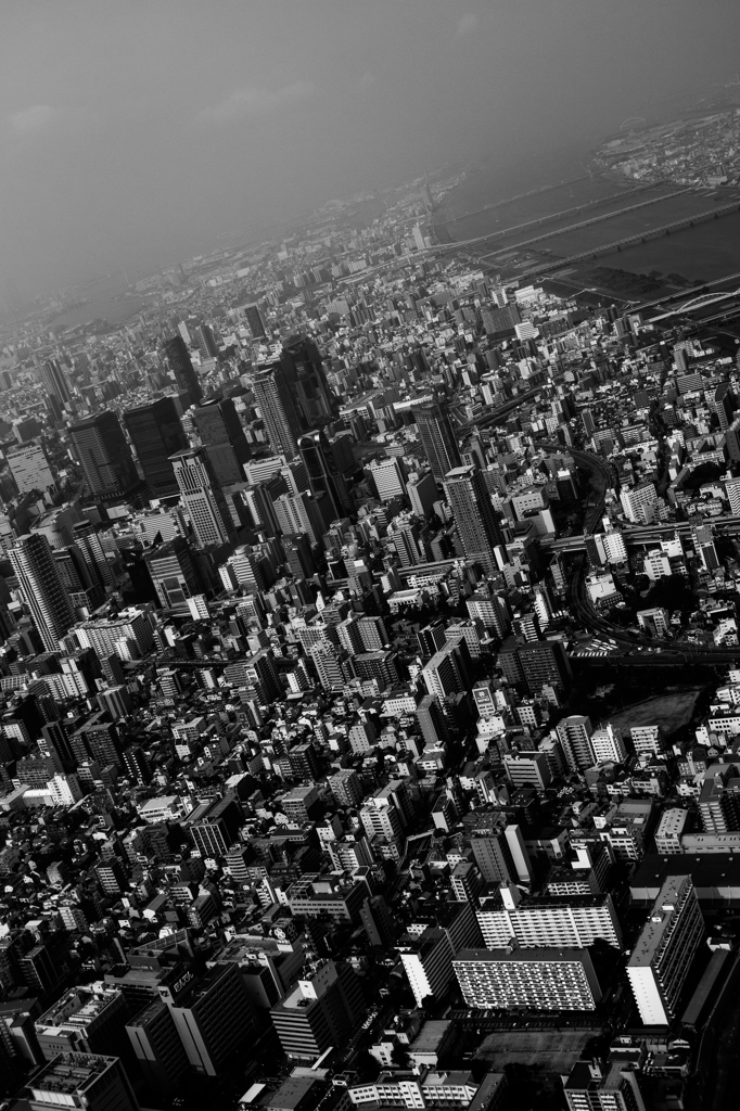 Osaka View