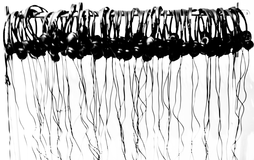 Jellyfish