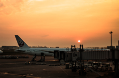 HANEDA SUNSET