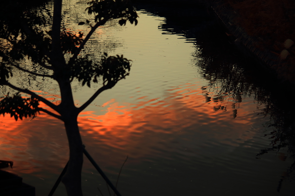 水面の夕暮れ