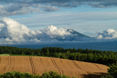 丘の風景