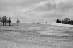 春を待つ大地４