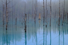 霧中の青い池