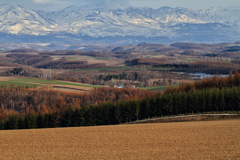 Mountain from the Spring Hill