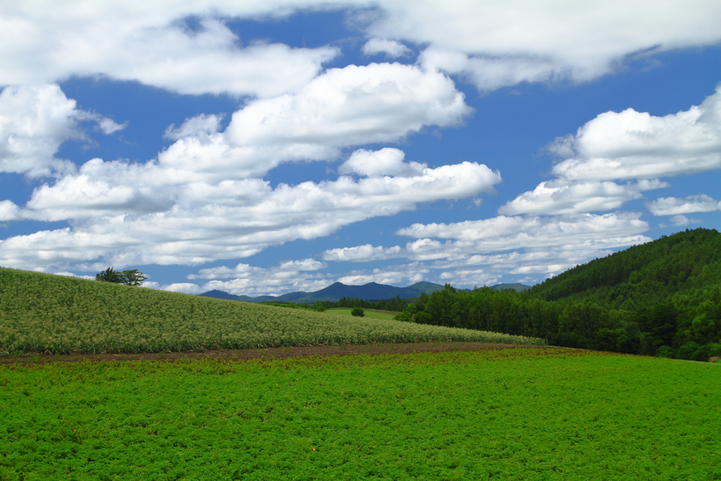 山間の農村風景