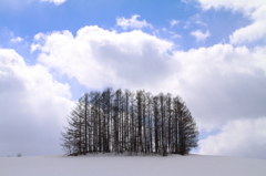 春を待つ大地３