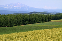 農村風景３