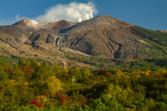 活火山の紅葉