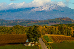 路