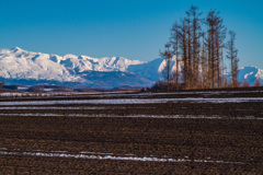 大雪の山々を望む