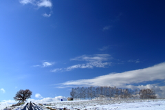 畑の冠雪