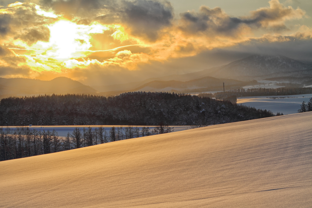 丘の冬日