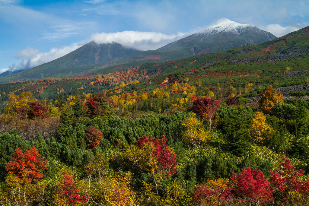 十勝岳紅葉