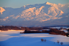 山鮮やかに