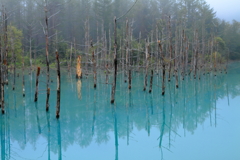 蘇る青い池