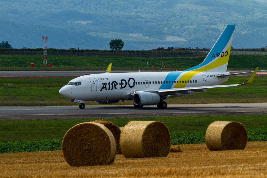 がんばれAIR DO