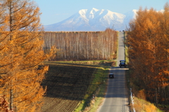 農村のアップダウン道路(続)