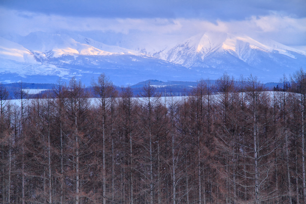 Mountain from the Hill