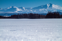 雪原の宝石