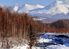 十勝岳を望む