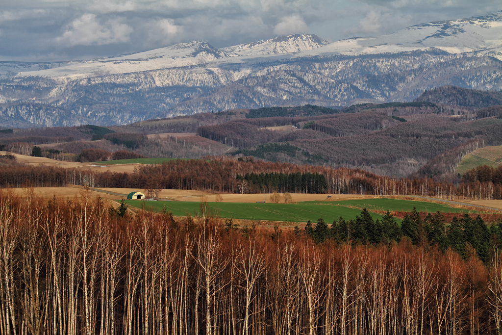 Mountain from the Spring Hill