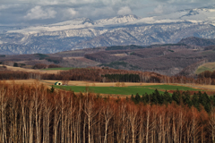 Mountain from the Spring Hill