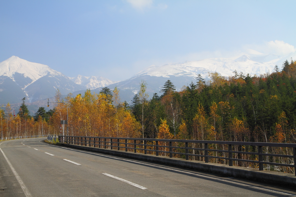 十勝岳連峰を望む