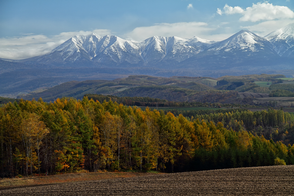 Mountains from the Hill