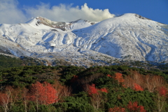 季節は冬へ