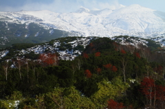 十勝岳望岳台