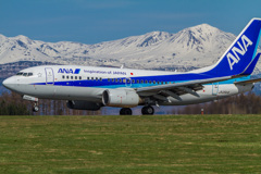 ANA 325 Landing at Asahikawa Airport