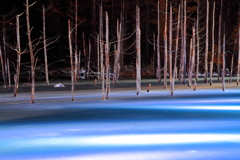 青い池　～ライトアップ～