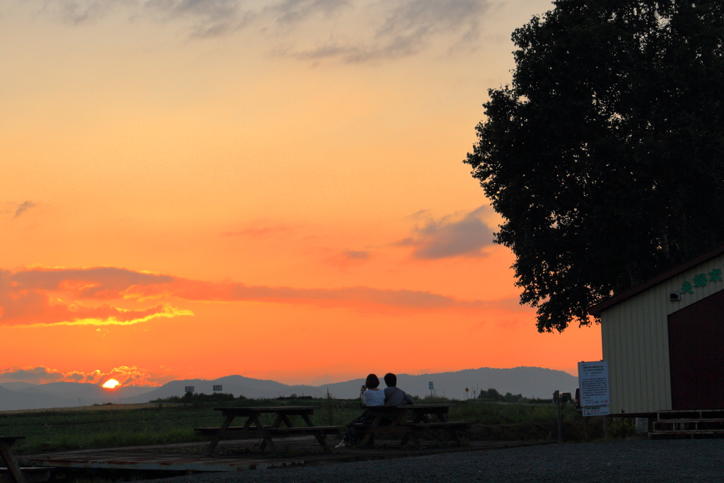 二人の時間　～Sunset from Seven Star Tree～